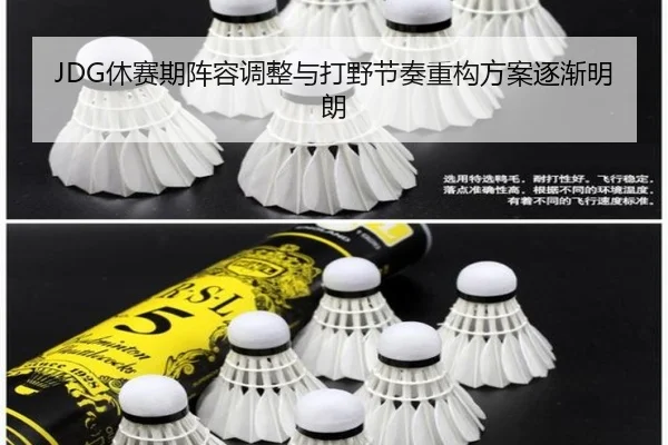 JDG休赛期阵容调整与打野节奏重构方案逐渐明朗
